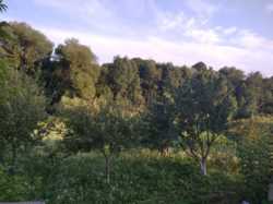 ������ �������� ������ �� ������� �������� � ��� ���������, ����������� ������, ̳����� ������, ����� 25 ����� ���� 5