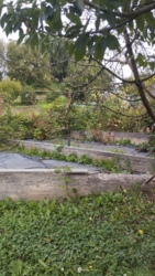 ������ ���� ���.������� ���� 20