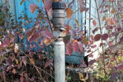 ������ �������� ������ �� ������� �������� �� ���. ϳ����� �����, ����� 6 ����� ���� 4