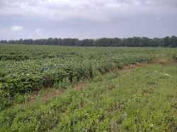 ������ �������� ������ �� ������� �������� � ��� ���������, ����������� ������, ����� 15 ����� ���� 2