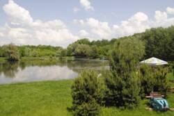 �������� �������� ������ ���� 21