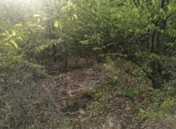 ������ �������� ������ 10 ����� ���� 12