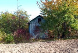 ������ �������� ������ �� ������� �������� �� ���. ϳ����� �����, ����� 6 ����� ���� 1