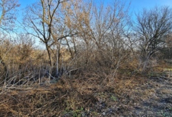 ������ �������� ������ ���� 10