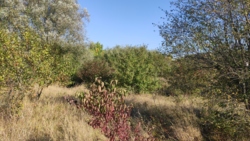 ������ �������� ������ ���� 6