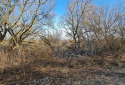 ������ �������� ������ ���� 4