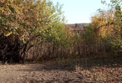 ������ �������� ������ �� ������� �������� �� ���. ϳ����� �����, ����� 6 ����� ���� 6