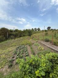 ������ ���� ���.������� ���� 6