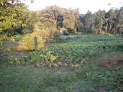 ������ �������� ������ �� ������� �������� � ��� ���������, ����������� ������, ̳����� ������, ����� 25 ����� ���� 3