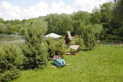 �������� �������� ������ ���� 22