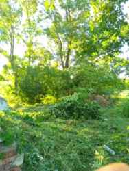 Продается участок Немыченцы, Хмельницкий, Хмельницкая фото 2 Продается участок Немыченцы, Хмельницкий, Хмельницкая фото 2