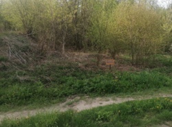 ������ �������� ������ 10 ����� ���� 17