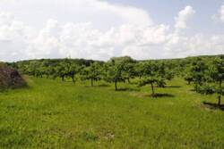 �������� �������� ������ ���� 31