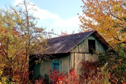 ������ �������� ������ �� ������� �������� �� ���. ϳ����� �����, ����� 6 ����� ���� 3