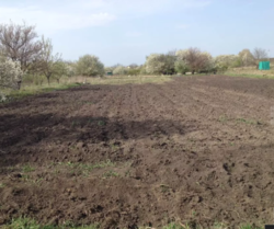 ��������� ������� �����������, ����������� ���� 2