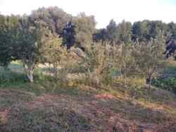 ������ �������� ������ �� ������� �������� � ��� ���������, ����������� ������, ̳����� ������, ����� 25 ����� ���� 2