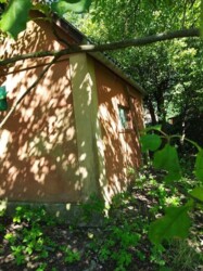 ������ �������, ���� ���� 7