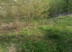 ������ �������� ������ 10 ����� ���� 7