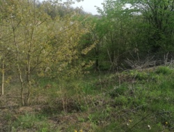 ������ �������� ������ 10 ����� ���� 5