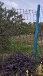 ������ ���� ���.������� ���� 16