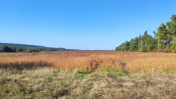 ������ �������� ������ ���� 7