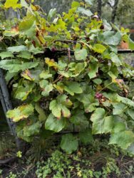 �������� ������ ���������. ���� 1