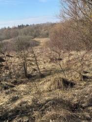 ������ ������� �������� ������ ������� ���� 4