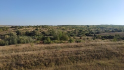 ������ �������� ������ ���� 6