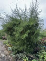 �������� ������ ���������. ���� 6