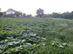 ������ �������� ������ �� ������� �������� � ��� ���������, ����������� ������, ̳����� ������, ����� 25 ����� ���� 8