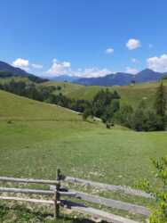 ����� � �������� ���� 6