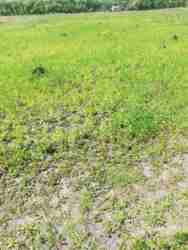 Продам 10 соток ,в перспективном месте... фото 4 Продам 10 соток ,в перспективном месте... фото 4