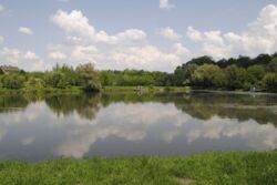 �������� �������� ������ ���� 25