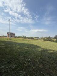 ��������� ������� ���. ������������, �����������, �����������, �������� ���� 21