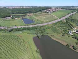 �������� �������� ������ ���� 51