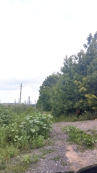 ��������� ������� ���. ������������, �����������, �����������, �������� ���� 6