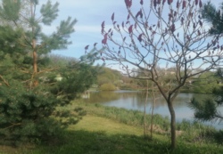 ������ �������� ������ 10 ����� ���� 14