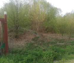 ������ �������� ������ 10 ����� ���� 11