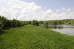 �������� �������� ������ ���� 23