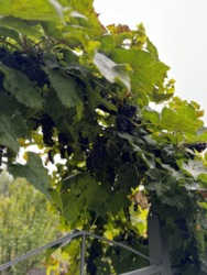 �������� ������ ���������. ���� 7