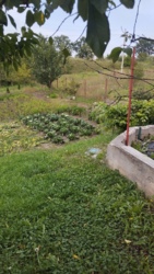 ������ ���� ���.������� ���� 14