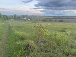 ������ �������� ����� ���� 4