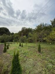 ������ ���� ���.������� ���� 11