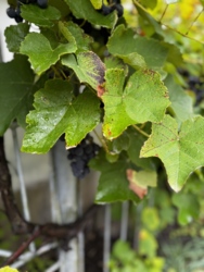 �������� ������ ���������. ���� 5