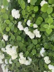 Продаж земельної ділянкі фото 12 Продаж земельної ділянкі фото 12