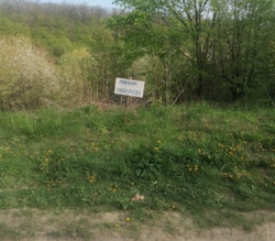 ������ �������� ������ 10 ����� ���� 16