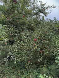 �������� ������ ���������. ���� 2