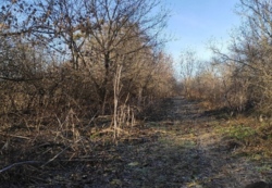 ������ �������� ������ ���� 5