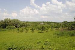 �������� �������� ������ ���� 38