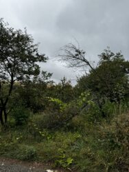 �������� ������ ���������. ���� 8